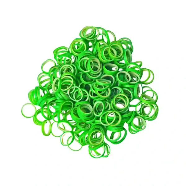 Rainbow Latest Elastics - Green Color -Green Apple Flavour