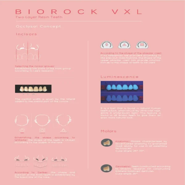 Brulon Biorock VXL Teeth Set