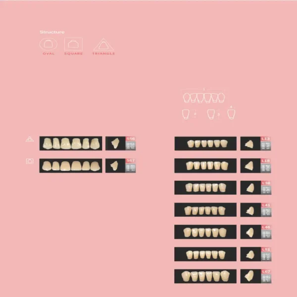 Brulon Biorock VXL Teeth Set