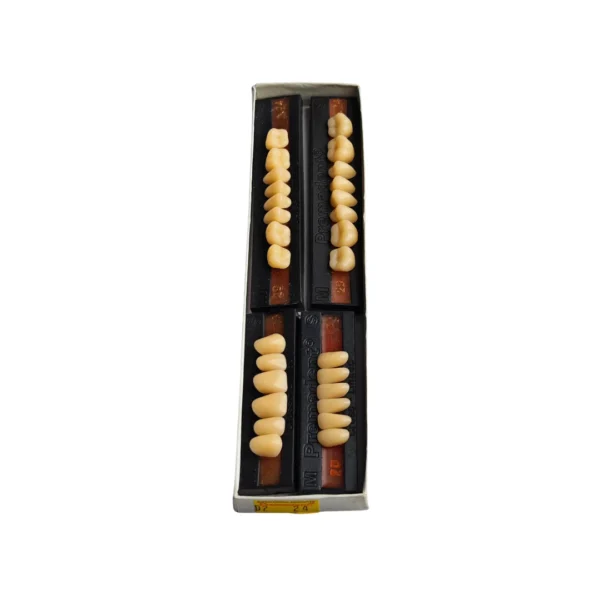 Premadent, Solvent Resistant Cross Linked Acrylic Teeth