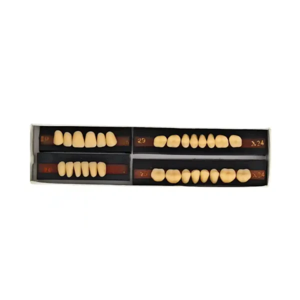 Premadent Teeth Set, Artificial Acrylic Teeth Set