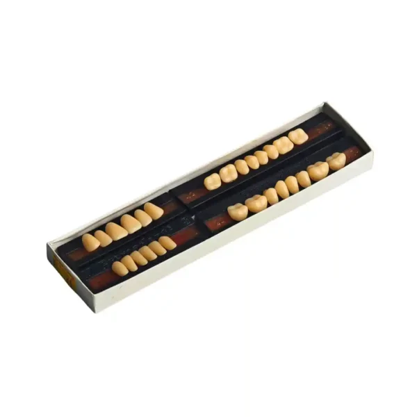 Premadent Teeth Set, Artificial Acrylic Teeth Set
