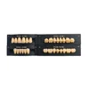HUGE KAILI Synthetic Polymer Teeth