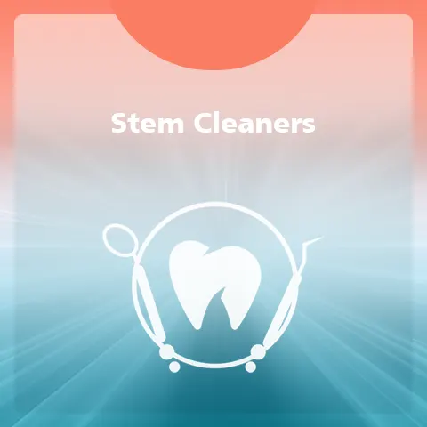 Steam Cleaners