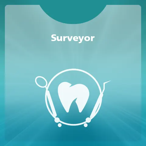 Surveyor