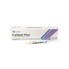 Jaypee Dent Calseal Plus Calcium Hydroxide With Lodoform Paste