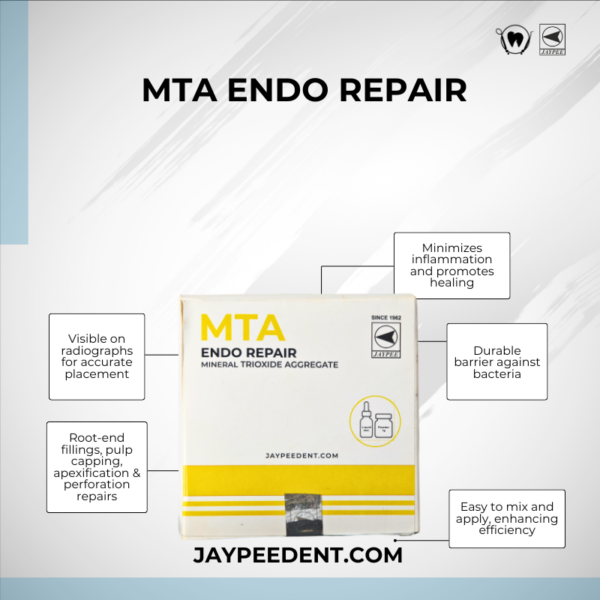 Mta Endo Repair