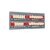 Mr Dental Medi-Cryl Ii, Acrylic Teeth Set, Pack Of 4 Teeth Set, Fluorescence Enhanced