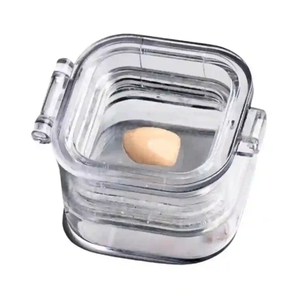 Jaypee Dent Membrane Box, Dental Laboratory Transparent Box, Crown And Bridge Storage, Small