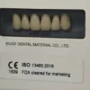 Huge Bluebell, Synthetic Polymer Teeth, Shade A3.5, Full Set 4 Huge Bluebell, Synthetic Polymer Teeth