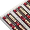 NID Presto Rock, Two Layered Resin Teeth, Solvent Resistant Cross Linked Acrylic Teeth