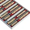 Ruthinium Combination Acry Pan XL, Acrylic Teeth, Cross Linked Fluorescent