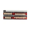 Ruthinium Combination, Acry Pan XL, Acrylic Teeth, Cross Linked Fluorescent