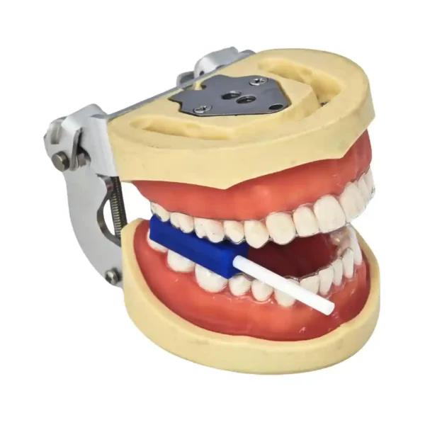 Jaypee Dent Align Ezi, Aligner Chewie