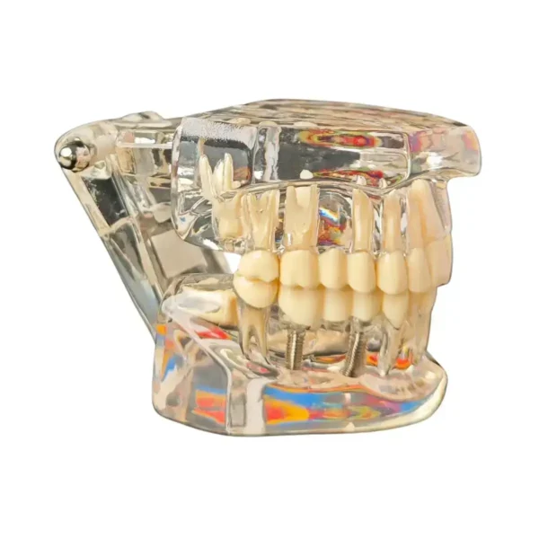 Evodent All in One with Nerve Supply, Clear