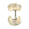 Evodent Deciduous Teeth Model, Clear