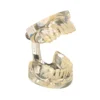 Evodent Deciduous Teeth Model, Clear