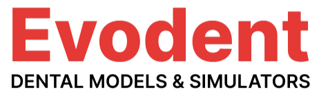 Evodent-logo