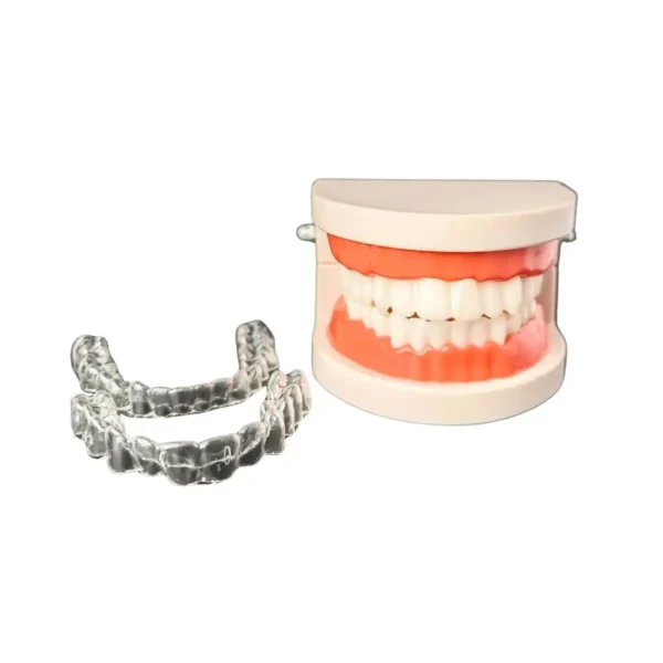 Evodent Ideal Dental Model with Aligner