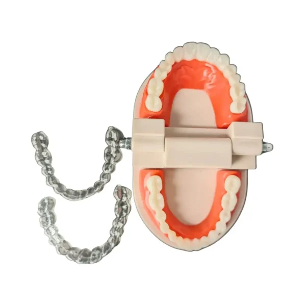 Evodent Ideal Dental Model With Aligner
