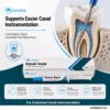 Jaypee Dent Canal Eaze 17% Edta With Lubricating Base, Endodontic Root Canal Chelating &Amp; Lubricating Gel, 3G Syringe
