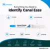 Jaypee Dent Canal Eaze 17% Edta With Lubricating Base, Endodontic Root Canal Chelating &Amp; Lubricating Gel, 3G Syringe