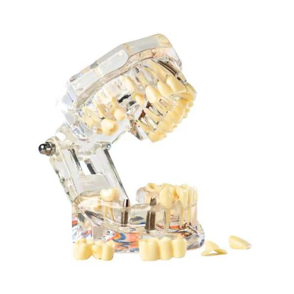 Evodent All in One with Nerve Supply, Clear
