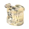 Evodent Deciduous Teeth Model, Clear
