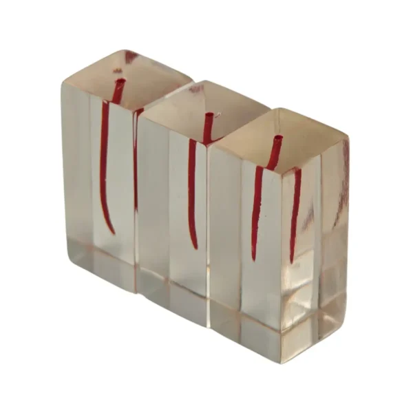 Evodent Dental Canal, Pack of 3