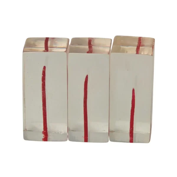 Evodent Dental Canal, Pack of 3