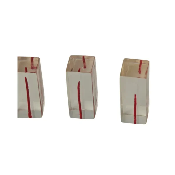 Evodent Dental Canal, Pack of 3