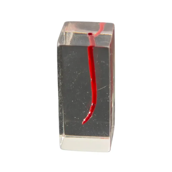 Evodent Dental Canal, Pack of 3