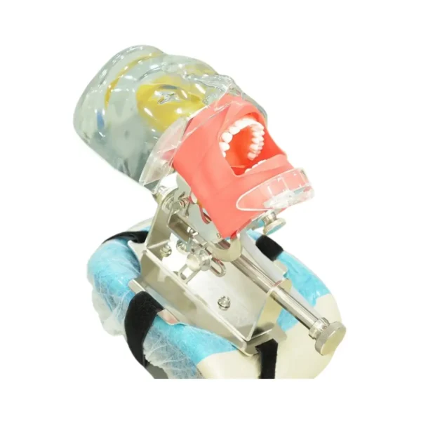 Evodent Headrest Mount Phantom Head with Drain