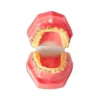 Evodent Orthodontic Model Half Metal And Half Ceramic Bracket