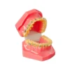 Evodent Orthodontic Model Half Metal And Half Ceramic Bracket