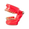 Evodent Orthodontic Model Metal Bracket