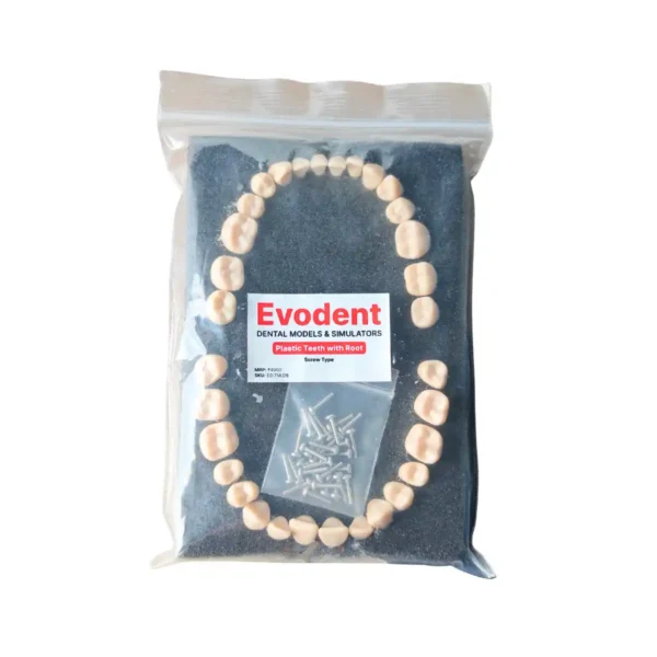 Evodent Plastic Teeth with Root Screw Type