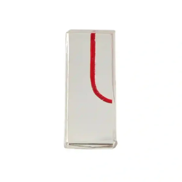 Evodent Dental Canal