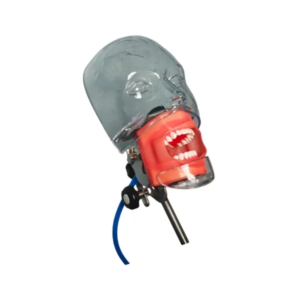 Evodent Table Mount Phantom Head with Drain