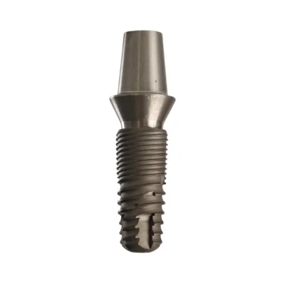 Evodent Two Part Implant Model with Clear Base