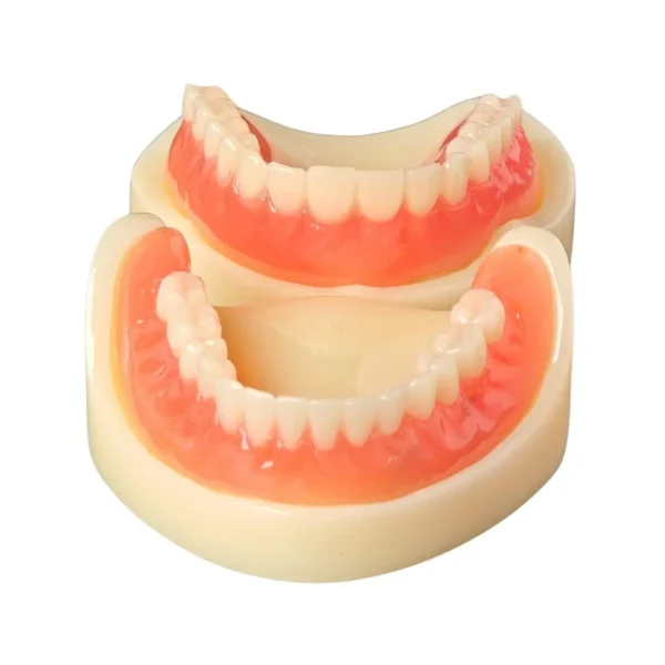 Evodent Full Denture with Implant Model