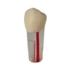 Evodent Root Canal Treatment Practice Model