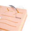 Evodent Tissue Model For Suture Practice