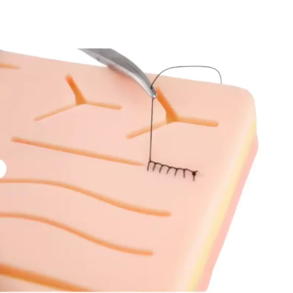 Evodent Tissue Model for Suture Practice