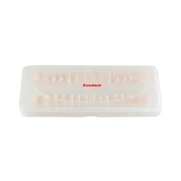 Evodent 200 CORE Root Canal Teeth