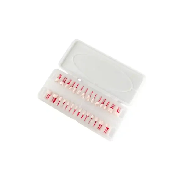 Evodent 200 CORE Transparent Root Canal Teeth