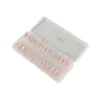 Evodent Normal Teeth For Practice, Evodent 200 Pro Series Teeth