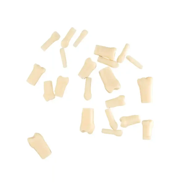 Evodent 200 PRO Pedo Full Set Teeth