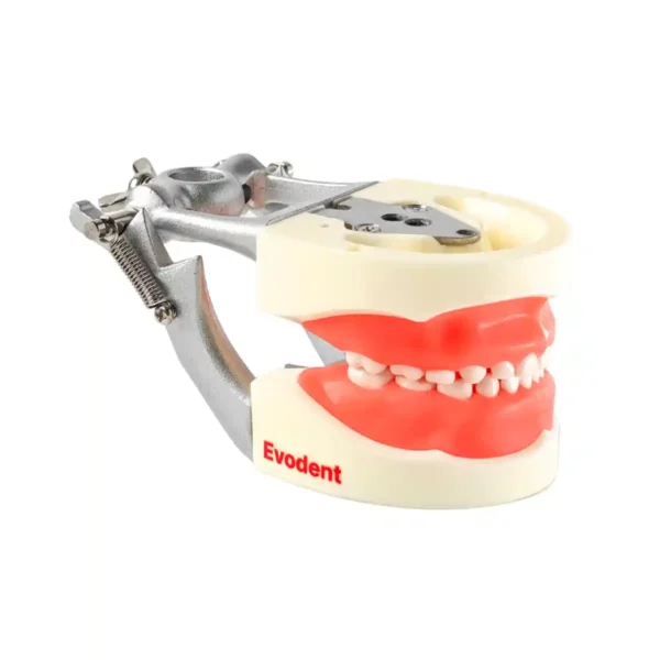 Evodent 200 PRO Pedo-SG