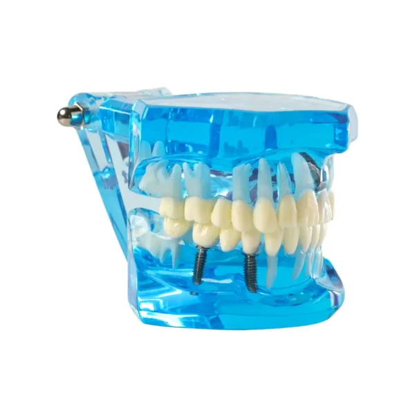 Evodent All in One Model, Blue